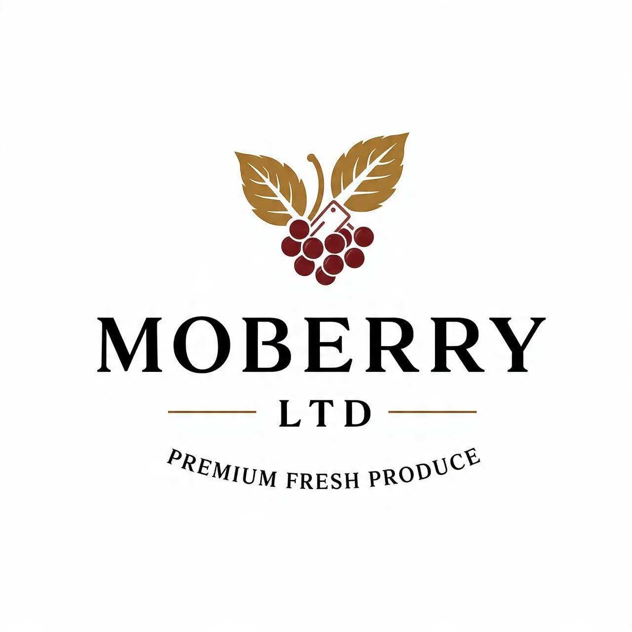 Moberry foods limited