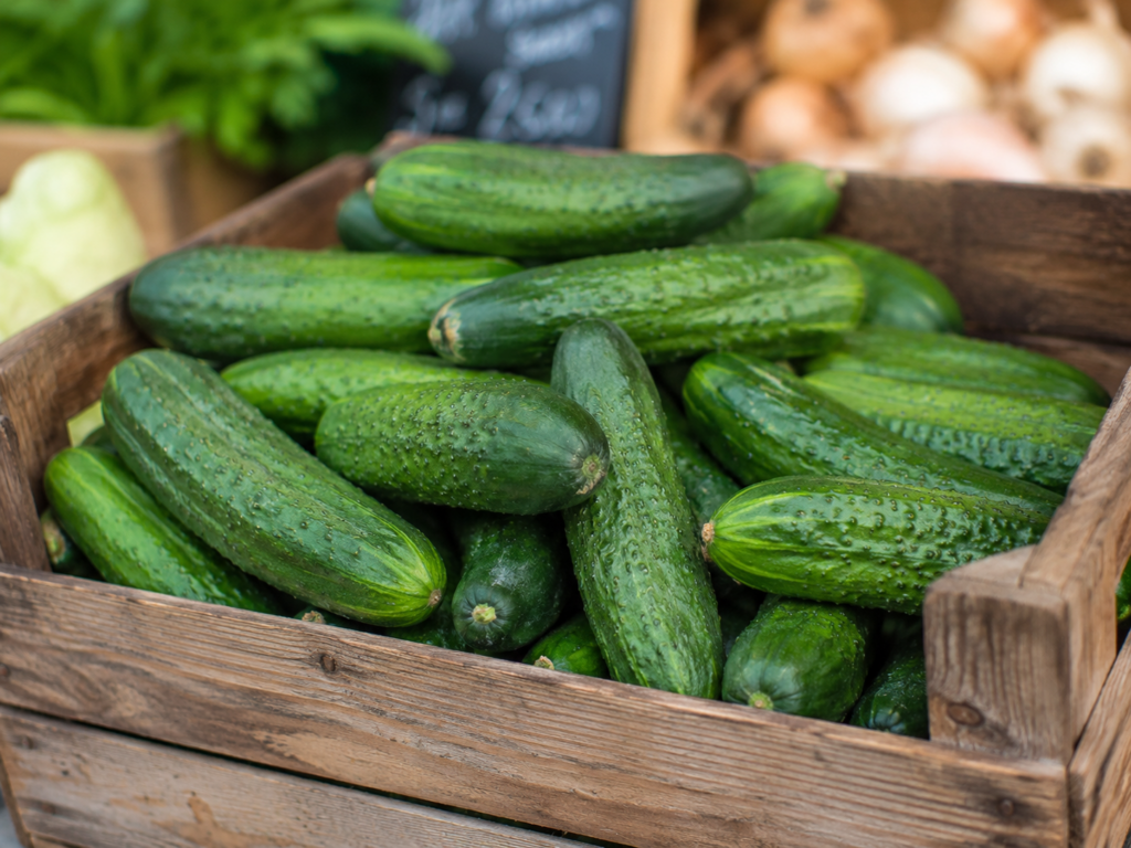Cucumbers
