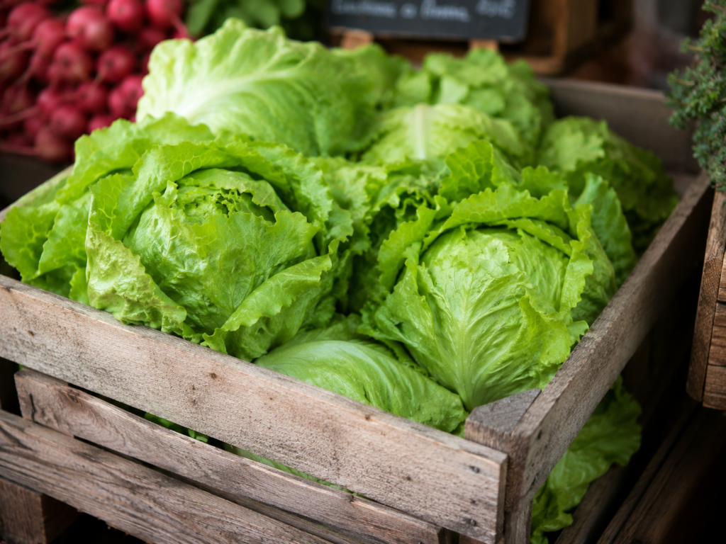 Lettuce